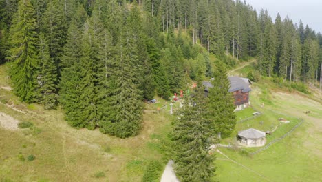 迷人的小屋, 被綠色的阿爾卑斯山森林包圍, 阿爾卑斯山, sostanj, 斯洛文尼亞