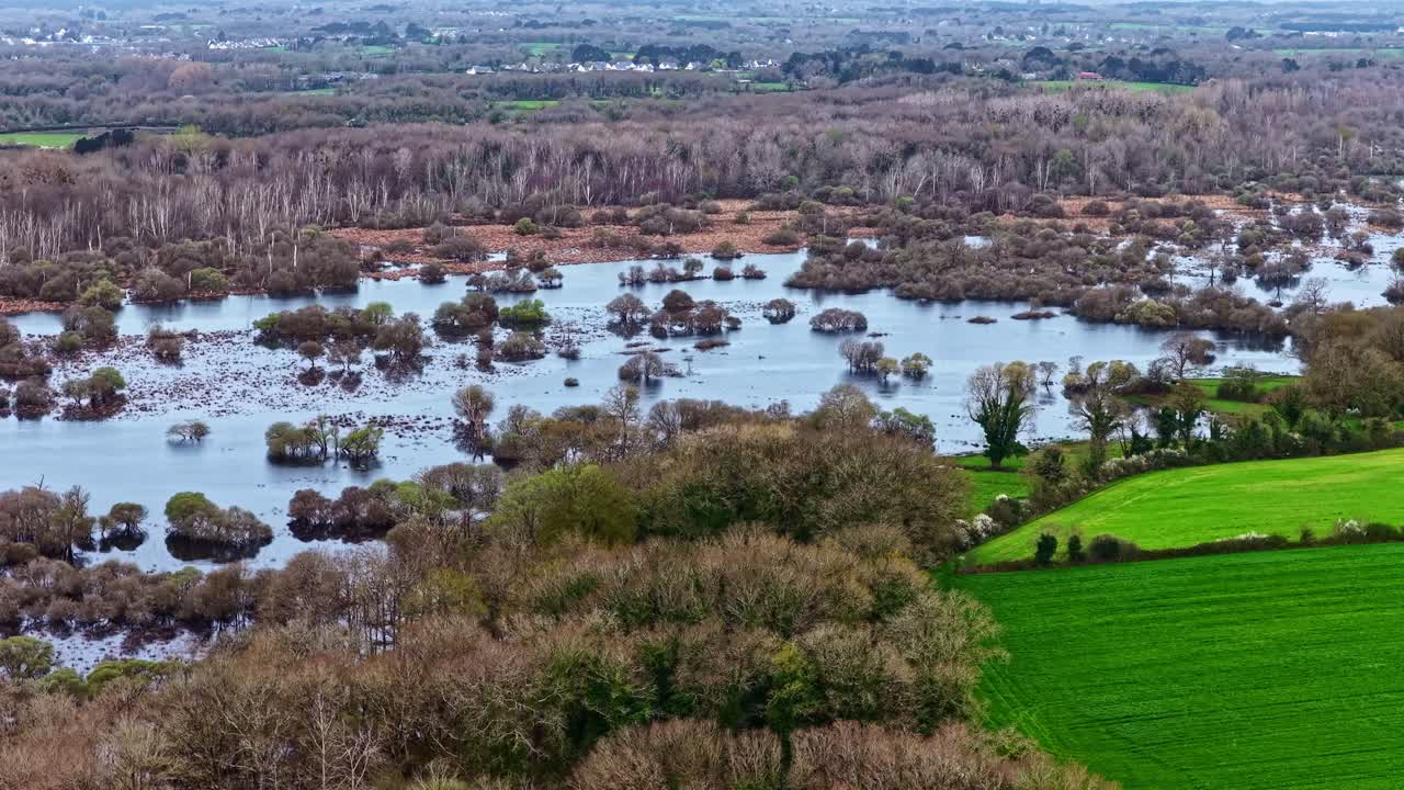 Bird's-eye view of the Great Brière Regional Natural Park, France