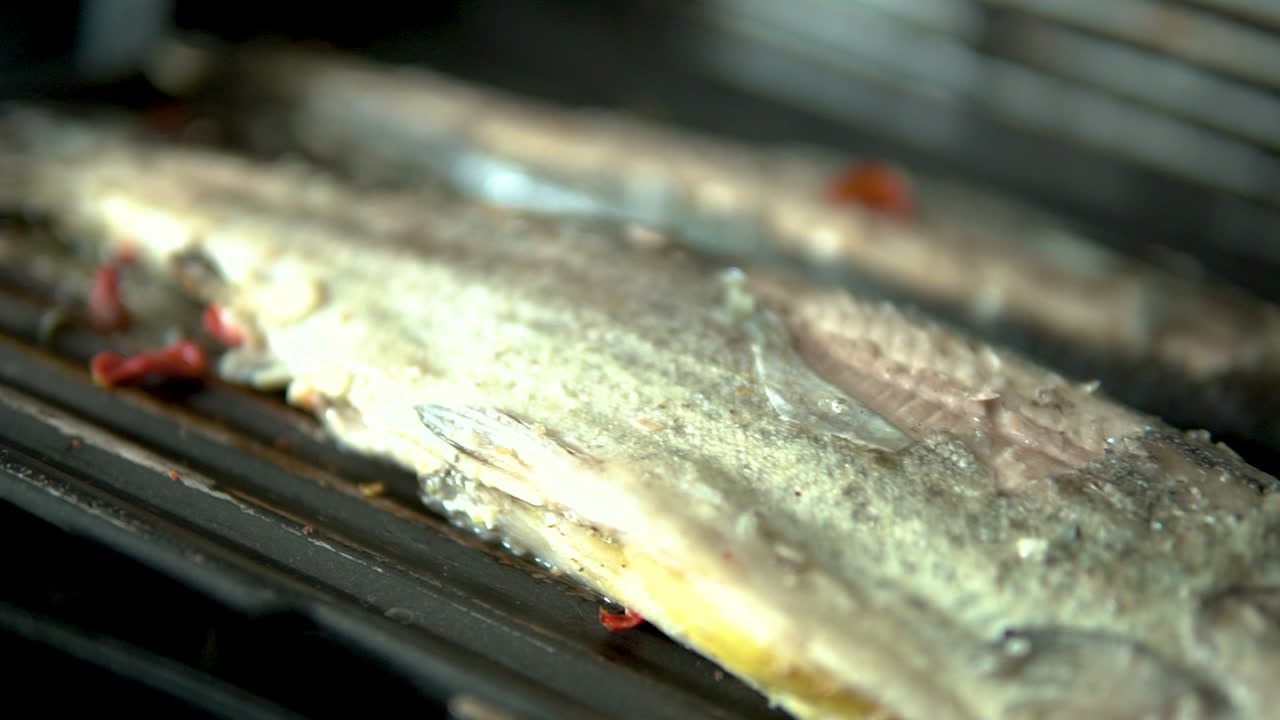 Rainbow trout in spices and vegetables grilled on an electric grill