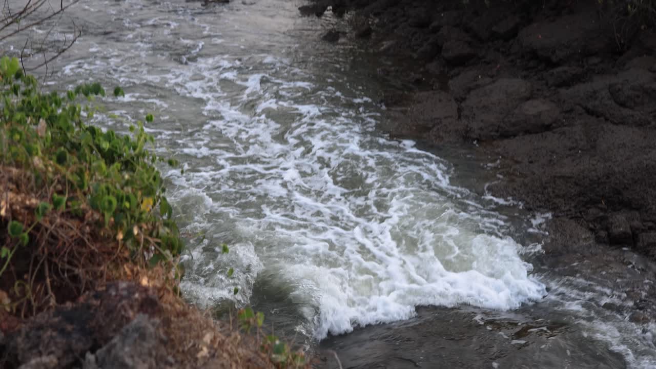 Serene River Scene with Rocks and Lush Vegetation