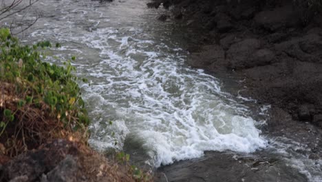 serene river scene with rocks and lush vegetation