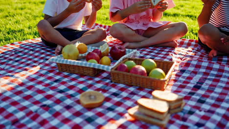 children enjoying a picnic in the park