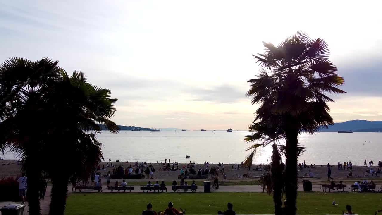 Aerial pan out over ocean beach sunset thru a pair of twin tropical palm trees with romantic couples seated inbetween them gazing at the beautiful natural wonder on a hot summer day