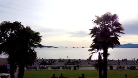 aerial pan out over ocean beach sunset thru a pair of twin tropical palm trees with romantic couples seated inbetween them gazing at the beautiful natural wonder on a hot summer day