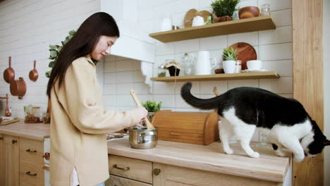 woman cooking with cats