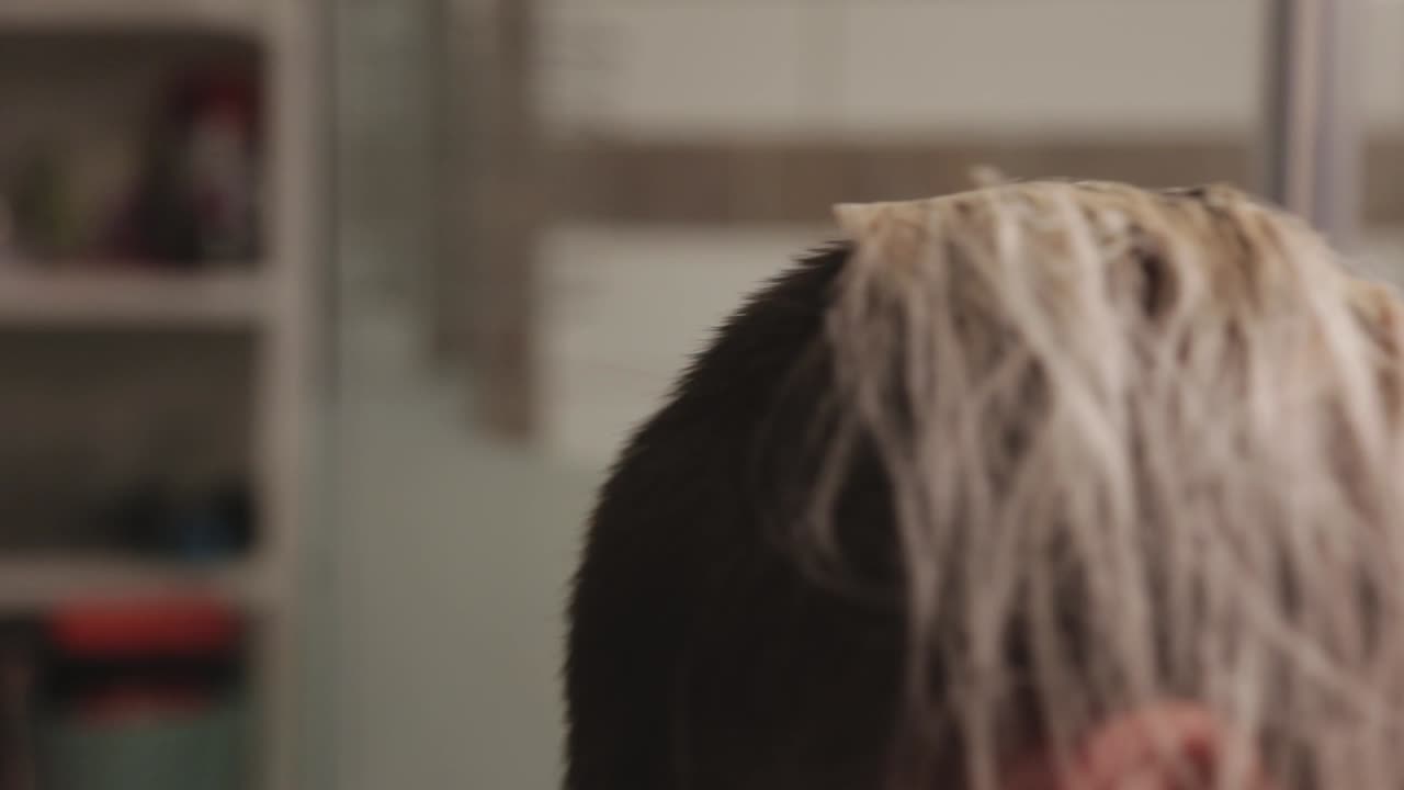 Starting Bleaching Hair In The Higher Sections - Close Up Shot