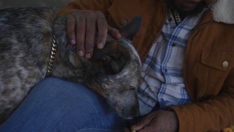 a speckled dog gently eats a treat from its owner's hand while sitting on a park bench, capturing a quiet, bonding moment.