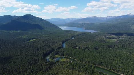 Arroyo-Que-Fluye-A-Través-De-Un-Exuberante-Bosque-Verde-Cerca-Del-Lago-Priest-En-Idaho,-Estados-Unidos