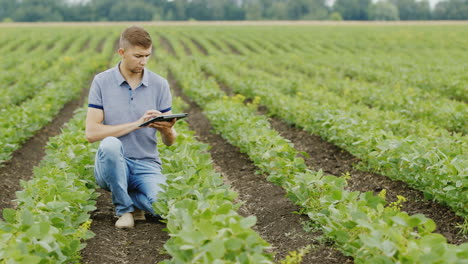 Un-Joven-Agricultor-Exitoso-Está-Trabajando-En-El-Campo