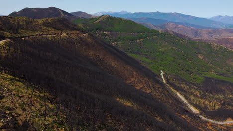 Eine-Drohne-Zeichnet-Die-Naturzerstörung-Und-Den-Klimawandel-In-Einem-Verbrannten-Wald-Der-Sierra-Bermeja-Auf