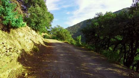 colorful-sunbeam-at-dawn-on-a-path-at-the-top-of-the-Algerian-Atlas-Mountains