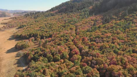 Luftaufnahme-Der-Herbstblätter-In-Den-Bergen-Von-Utah