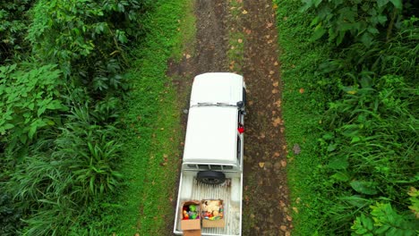 Bird eyes view on a car driving on a dirt road in the green forest of São Tomé e Principe,Africa