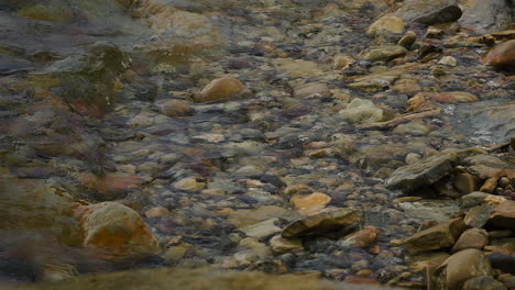 soft waves lap on small rocks on a pebbled beach