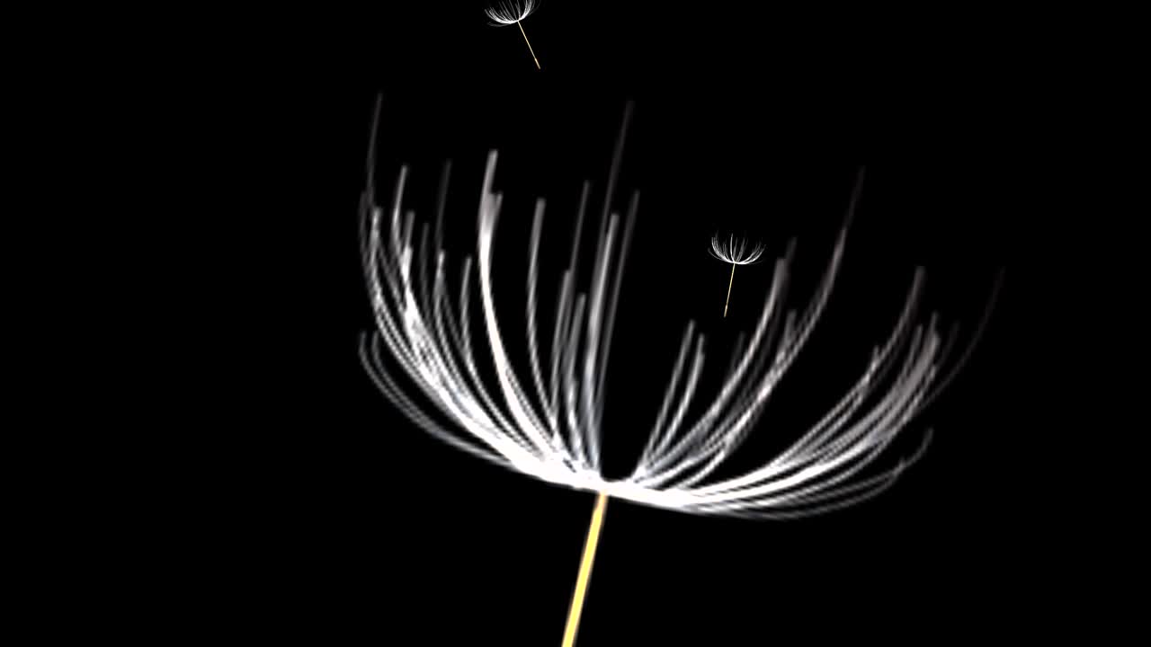 공중 에서 날아다니는 사탕수수 씨