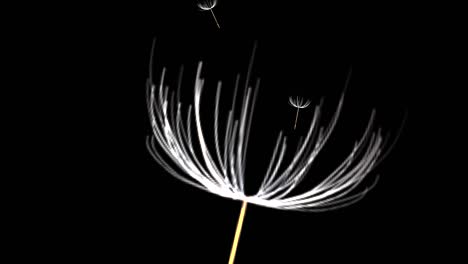 dandelion seeds flying in the air