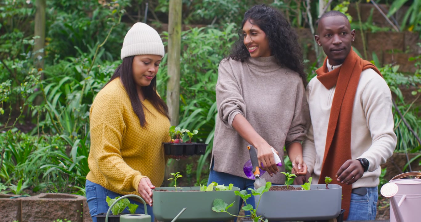 African American friends holding tray, planting for garden in sweaters with purple spray bottle