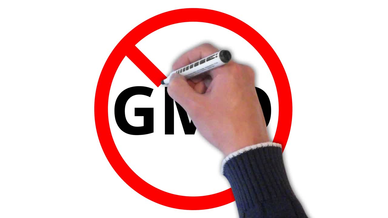 화이트 보드에 그려진 gmo 표시 없음