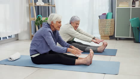 senior, women and fitness stretching in a living