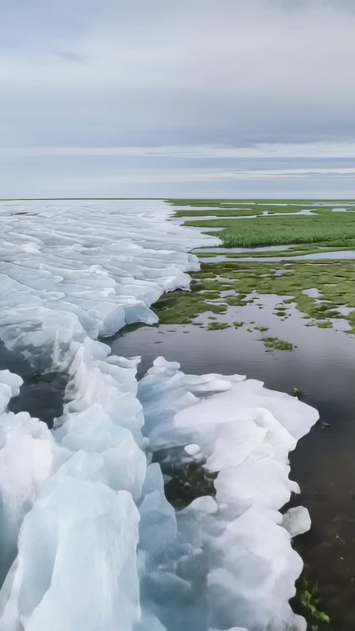 Vertical video: Camera gliding tracing melting ice edge at marsh, with grass tufts, copy space