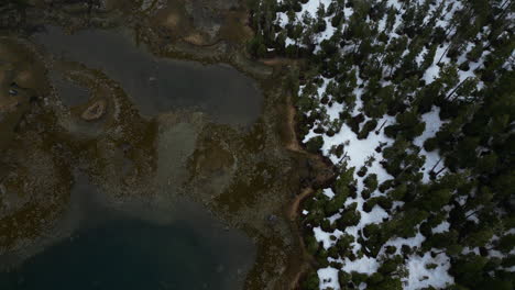 Drone-shot-over-wintry-forest-and-a-flooding-marsh-of-cloudy-Alaska,-USA