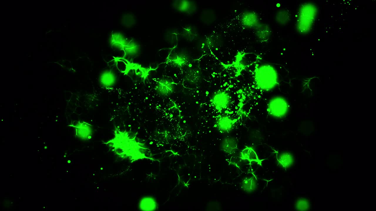 스 비디오의 전체 색 입자 폭발 칠면조 - 국가, 폭발, 입자, 원, 반이는