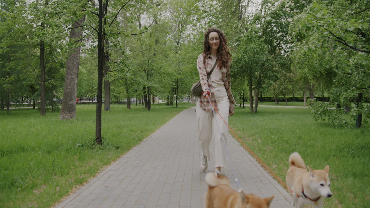 Woman walking dogs in a park
