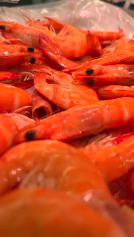 camarones recién capturados