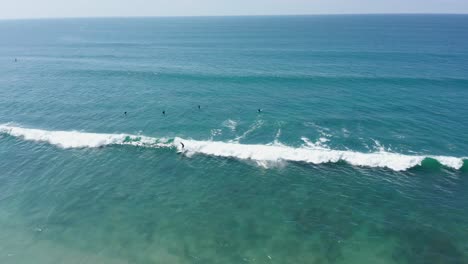 Aerial-shot-of-surfers-riding-waves-on-the-West-Coast-of-America-in-summer