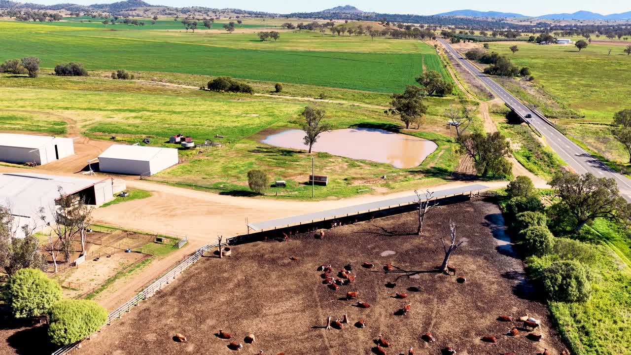 Drone footage transitions from cattle yards and farm buildings to expansive green fields and ponds under bright daylight, showcasing rural Australian landscape