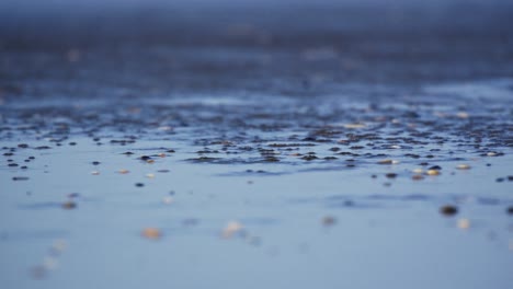 strong onshore wind blows ripples on wet beach sand