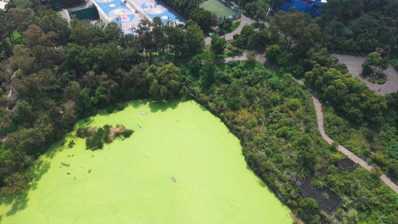 Drone footage showing algae bloom in a Mexico City park lake