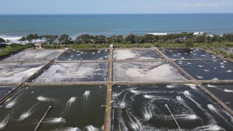 Aerial-view,-captivity-or-shrimp-pond-in-southern-yogyakarta-on-the-coast-of-samas