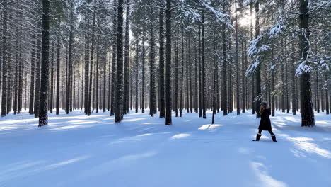 person walking through a snowy pine forest in winter