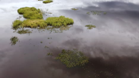 cloud reflections over a river