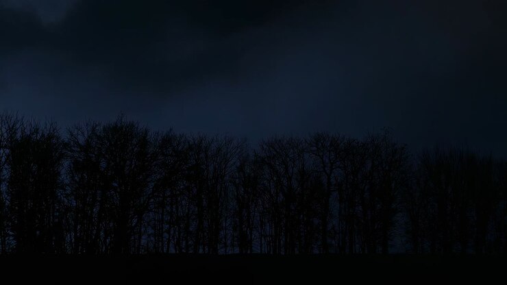 Striking lightning bolt descending from cloud behind trees, illuminating treeline, fading twice