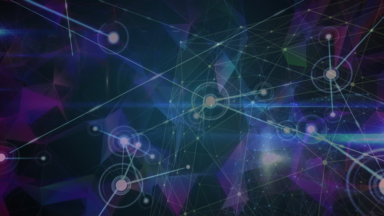 플렉서스 네트워크에 대한 연결 네트워크