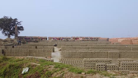 The-brick-industry-developed-around-the-alluvial-soil-along-the-Ganga-River