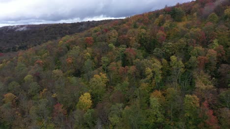 aerial of mountains in autumn