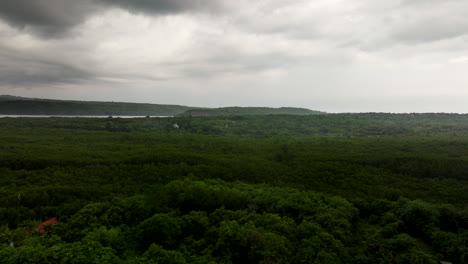 Untouched-large-mangrove-forest-on-lush-tropical-island-during-cloudy-day