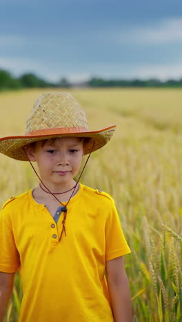 boy on big field of wheat. portrait of cute boy walking on wheat field. vertical video