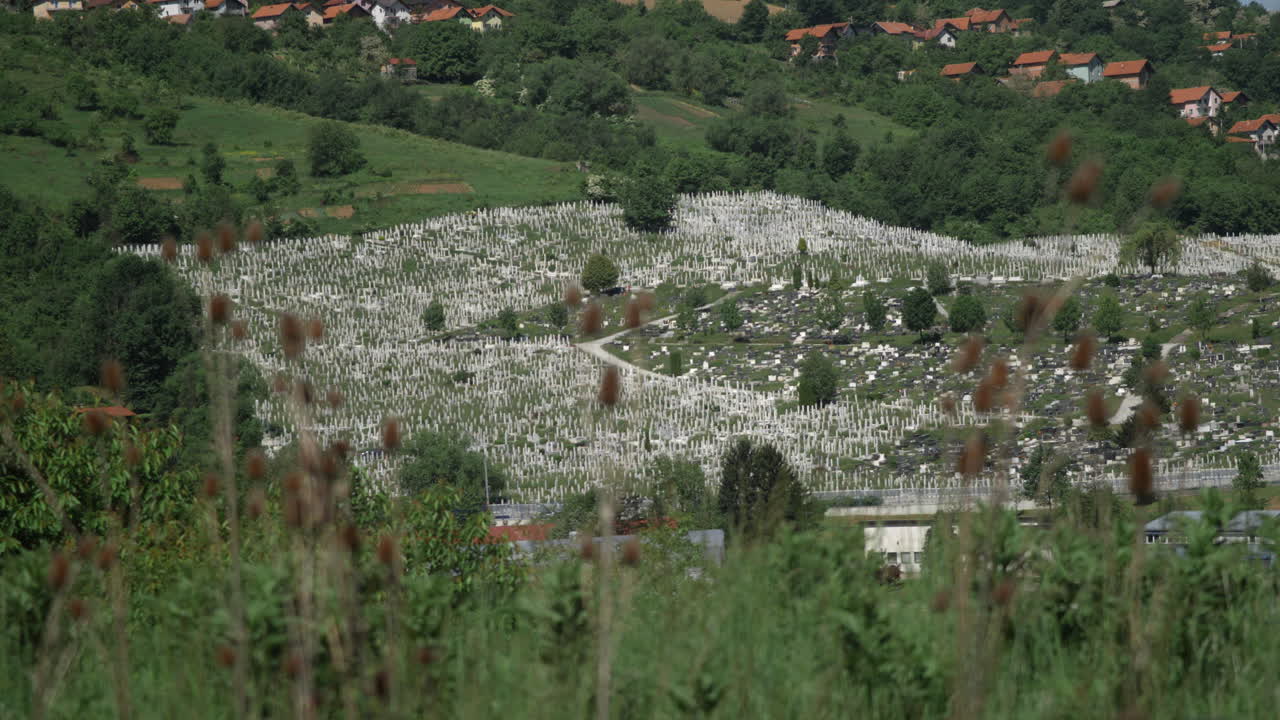 Rack focus from plants to mass cemetary in Sarajevo, Bosnia.