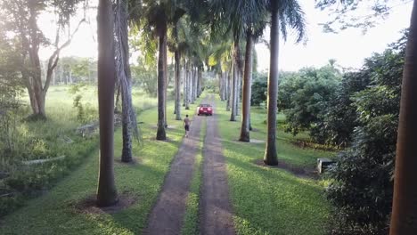 Man-Walking-Towards-Moving-Red-Car-Passing-By-On-Paved-Road-In-Kilauea,-Hawaii---static-drone-shot