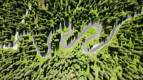 passo giau serpentine road in sunny italian alps, top-down drone view, sunny day
