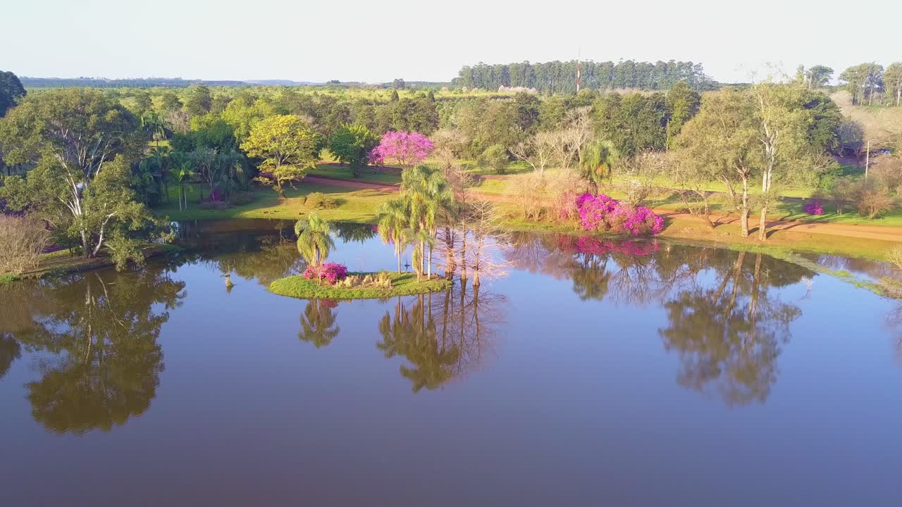 vuelo hacia isla hacia carpinchos roedores corriendo atrás