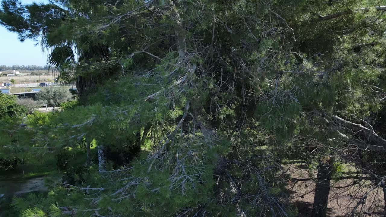 Aerial View of a Coastal Town with Agricultural Fields