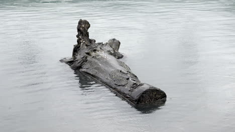 Log-of-wood-submerged-in-Walensee-lake-drizzling-calmness,Switzerland