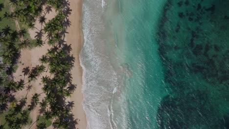 overhead aerial view of samana bay, dominican republic