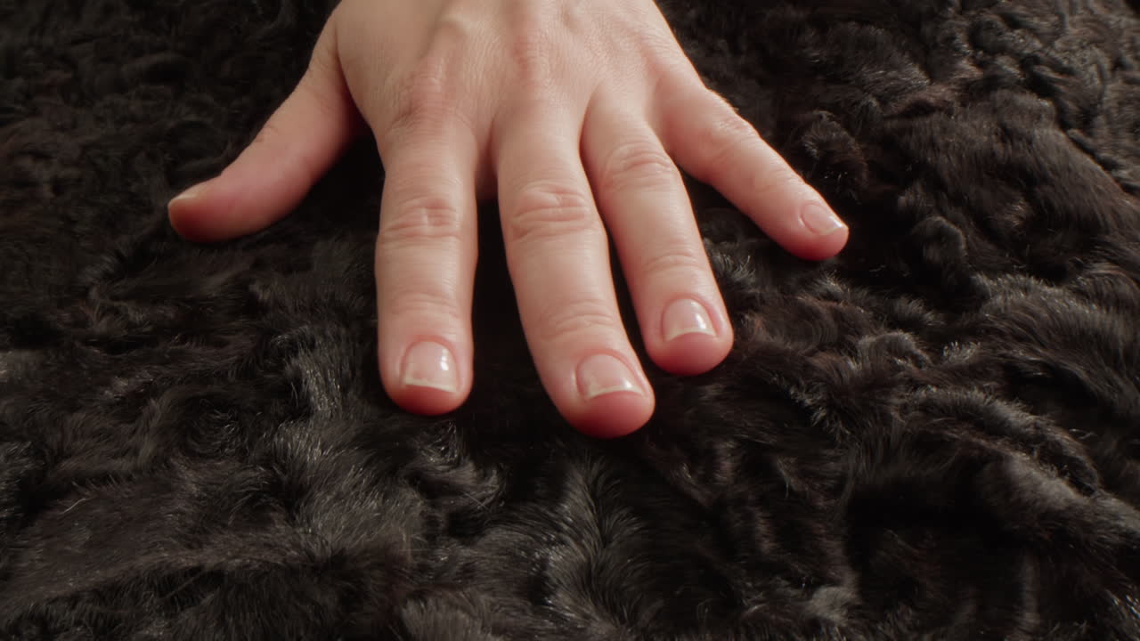 Hand on black fur