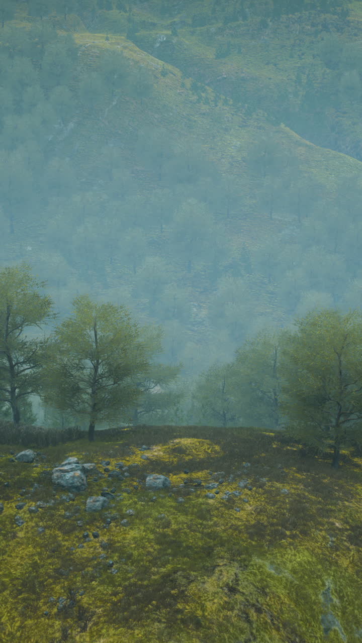 paisaje de bosque de niebla